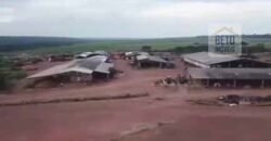 Fazenda TOP Produtiva Lavoura Pasto 46.623 hectares e Pista de Pouso | Paragominas/ PA