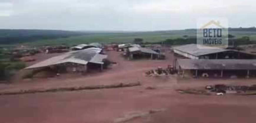 Fazenda TOP Produtiva Lavoura Pasto 46.623 hectares e Pista de Pouso | Paragominas/ PA