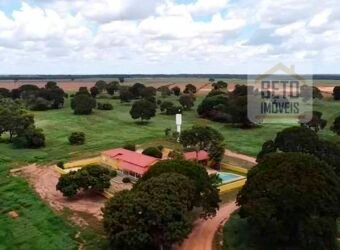 Excelente Fazenda à venda 3.665 ha com 100% pastagens cultivadas toda plana | João Pinheiro/ MG