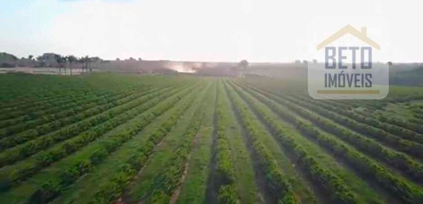 Fazenda de Café, Produção de leite e outras lavouras c/1.939 hectares Excelente estrutura | Patrocínio/ MG