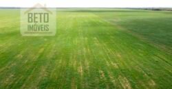 Excelente Fazenda à venda 3.665 ha com 100% pastagens cultivadas toda plana | João Pinheiro/ MG