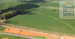 Fazenda de Café, Produção de leite e outras lavouras c/1.939 hectares Excelente estrutura | Patrocínio/ MG