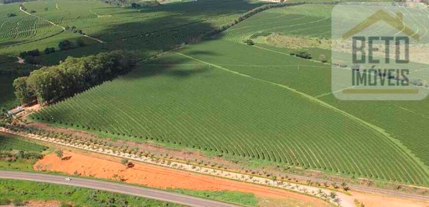 Fazenda de Café, Produção de leite e outras lavouras c/1.939 hectares Excelente estrutura | Patrocínio/ MG