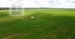 Excelente Fazenda à venda 3.665 ha com 100% pastagens cultivadas toda plana | João Pinheiro/ MG