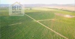 Fazenda de Café, Produção de leite e outras lavouras c/1.939 hectares Excelente estrutura | Patrocínio/ MG