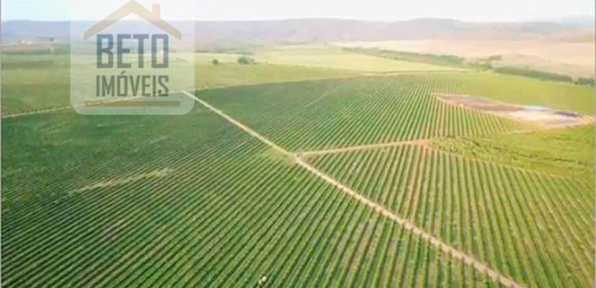 Fazenda de Café, Produção de leite e outras lavouras c/1.939 hectares Excelente estrutura | Patrocínio/ MG