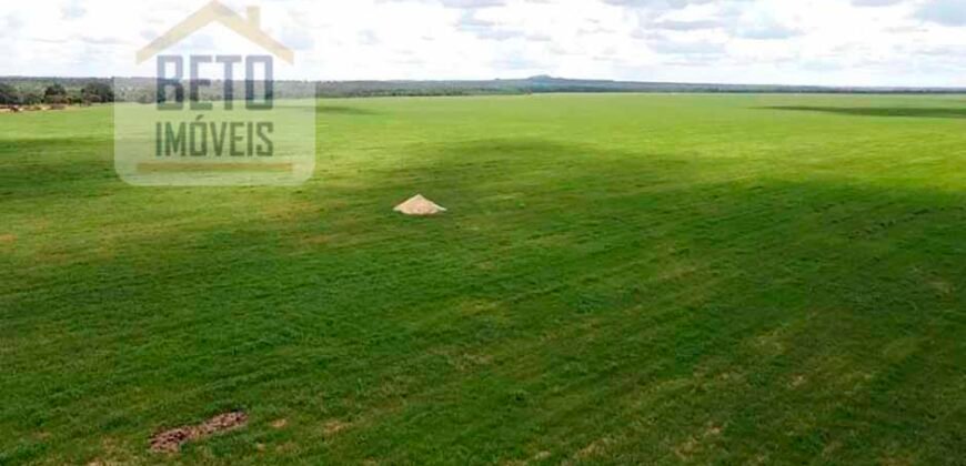Excelente Fazenda à venda 3.665 ha com 100% pastagens cultivadas toda plana | João Pinheiro/ MG