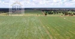 Excelente Fazenda à venda 3.665 ha com 100% pastagens cultivadas toda plana | João Pinheiro/ MG