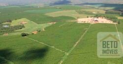 Fazenda de Café, Produção de leite e outras lavouras c/1.939 hectares Excelente estrutura | Patrocínio/ MG
