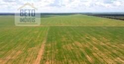 Excelente Fazenda à venda 3.665 ha com 100% pastagens cultivadas toda plana | João Pinheiro/ MG