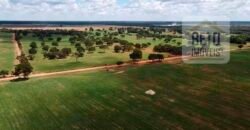 Excelente Fazenda à venda 3.665 ha com 100% pastagens cultivadas toda plana | João Pinheiro/ MG