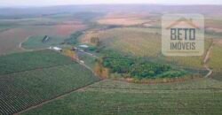 Fazenda de Café, Produção de leite e outras lavouras c/1.939 hectares Excelente estrutura | Patrocínio/ MG