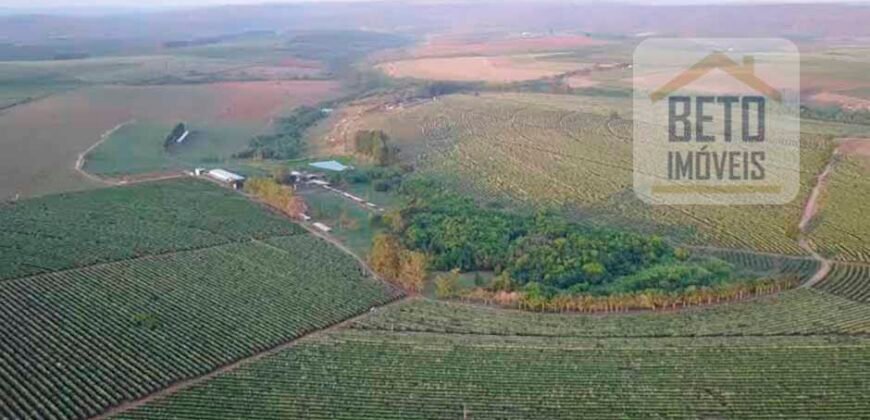Fazenda de Café, Produção de leite e outras lavouras c/1.939 hectares Excelente estrutura | Patrocínio/ MG
