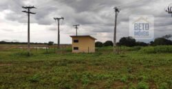 Oportunidade Única! Fazenda para Agricultura e Pecuária 2.132 Ha Localização estratégica | Norte de Minas Gerais Oportunidade Única! Fazenda para Agricultura e Pecuária 2.132 Ha Localização estratégica | Norte de Minas Gerais