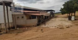 Oportunidade Única! Fazenda para Agricultura e Pecuária 2.132 Ha Localização estratégica | Norte de Minas Gerais Oportunidade Única! Fazenda para Agricultura e Pecuária 2.132 Ha Localização estratégica | Norte de Minas Gerais