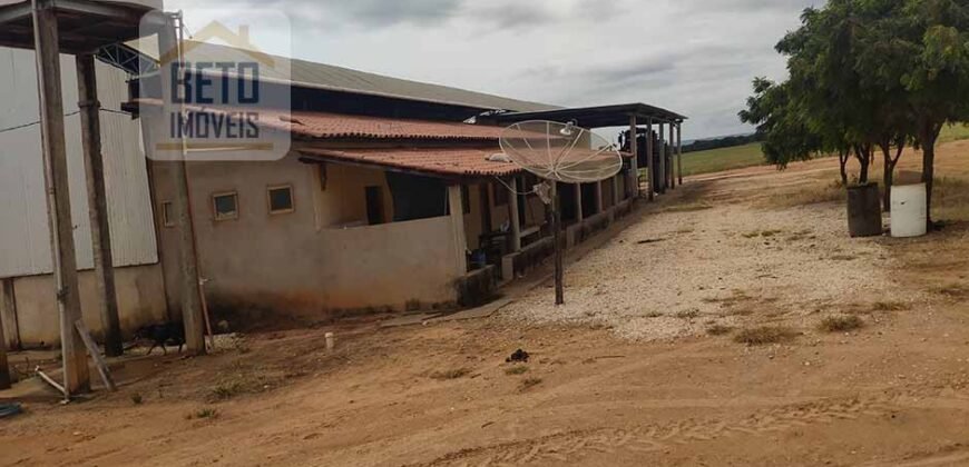 Oportunidade Única! Fazenda para Agricultura e Pecuária 2.132 Ha Localização estratégica | Norte de Minas Gerais Oportunidade Única! Fazenda para Agricultura e Pecuária 2.132 Ha Localização estratégica | Norte de Minas Gerais