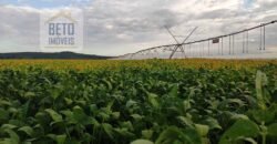 Oportunidade Única! Fazenda para Agricultura e Pecuária 2.132 Ha Localização estratégica | Norte de Minas Gerais Oportunidade Única! Fazenda para Agricultura e Pecuária 2.132 Ha Localização estratégica | Norte de Minas Gerais