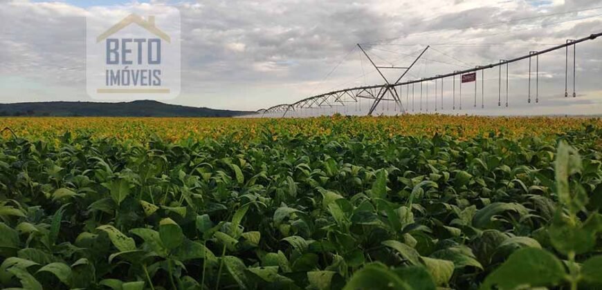 Oportunidade Única! Fazenda para Agricultura e Pecuária 2.132 Ha Localização estratégica | Norte de Minas Gerais Oportunidade Única! Fazenda para Agricultura e Pecuária 2.132 Ha Localização estratégica | Norte de Minas Gerais