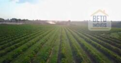 Fazenda de Café, Produção de leite e outras lavouras c/1.939 hectares Excelente estrutura | Patrocínio/ MG