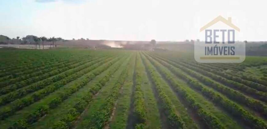 Fazenda de Café, Produção de leite e outras lavouras c/1.939 hectares Excelente estrutura | Patrocínio/ MG