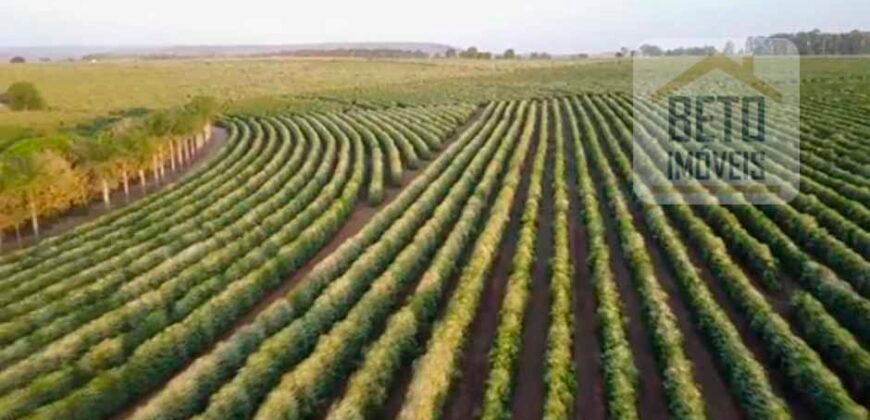 Fazenda de Café, Produção de leite e outras lavouras c/1.939 hectares Excelente estrutura | Patrocínio/ MG