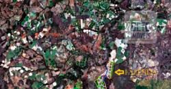 Excelente Fazenda à venda 3.665 ha com 100% pastagens cultivadas toda plana | João Pinheiro/ MG