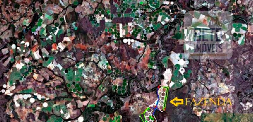 Excelente Fazenda à venda 3.665 ha com 100% pastagens cultivadas toda plana | João Pinheiro/ MG