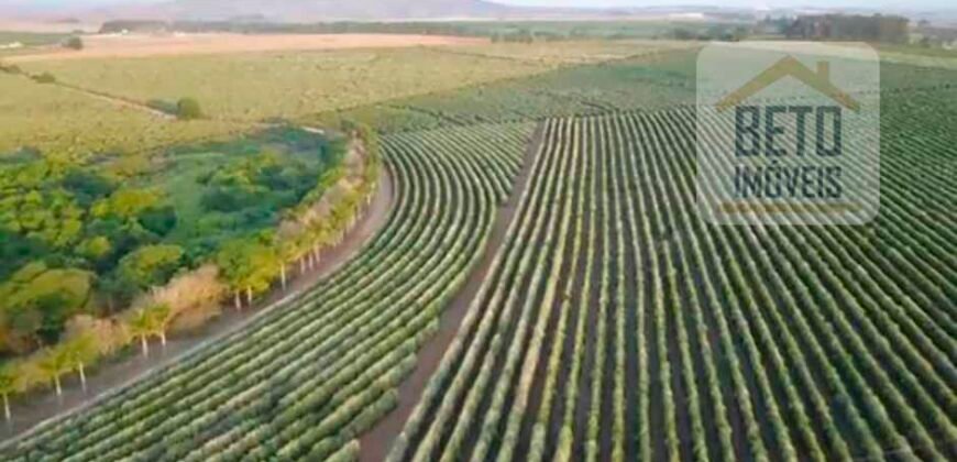 Fazenda de Café, Produção de leite e outras lavouras c/1.939 hectares Excelente estrutura | Patrocínio/ MG