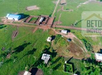 Oportunidade Imperdível! Fazenda à venda Localização Estratégica e Infraestrutura Completa | Paranatinga/ MT