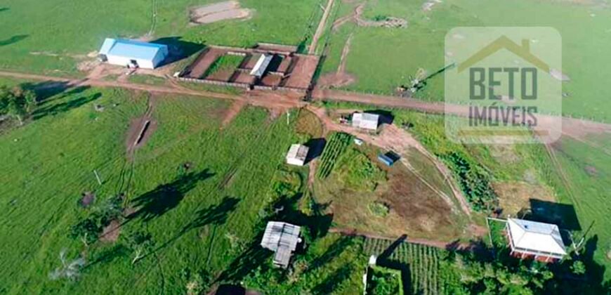 Oportunidade Imperdível! Fazenda à venda Localização Estratégica e Infraestrutura Completa | Paranatinga/ MT Oportunidade Imperdível! Fazenda à venda Localização Estratégica e Infraestrutura Completa | Paranatinga/ MT