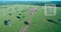 Oportunidade Imperdível! Fazenda à venda Localização Estratégica e Infraestrutura Completa | Paranatinga/ MT Oportunidade Imperdível! Fazenda à venda Localização Estratégica e Infraestrutura Completa | Paranatinga/ MT