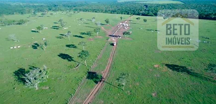 Oportunidade Imperdível! Fazenda à venda Localização Estratégica e Infraestrutura Completa | Paranatinga/ MT Oportunidade Imperdível! Fazenda à venda Localização Estratégica e Infraestrutura Completa | Paranatinga/ MT