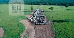Oportunidade Imperdível! Fazenda à venda Localização Estratégica e Infraestrutura Completa | Paranatinga/ MT Oportunidade Imperdível! Fazenda à venda Localização Estratégica e Infraestrutura Completa | Paranatinga/ MT
