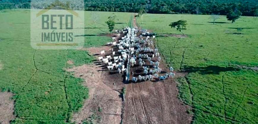 Oportunidade Imperdível! Fazenda à venda Localização Estratégica e Infraestrutura Completa | Paranatinga/ MT Oportunidade Imperdível! Fazenda à venda Localização Estratégica e Infraestrutura Completa | Paranatinga/ MT