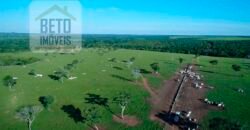 Oportunidade Imperdível! Fazenda à venda Localização Estratégica e Infraestrutura Completa | Paranatinga/ MT Oportunidade Imperdível! Fazenda à venda Localização Estratégica e Infraestrutura Completa | Paranatinga/ MT