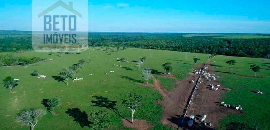 Oportunidade Imperdível! Fazenda à venda Localização Estratégica e Infraestrutura Completa | Paranatinga/ MT Oportunidade Imperdível! Fazenda à venda Localização Estratégica e Infraestrutura Completa | Paranatinga/ MT
