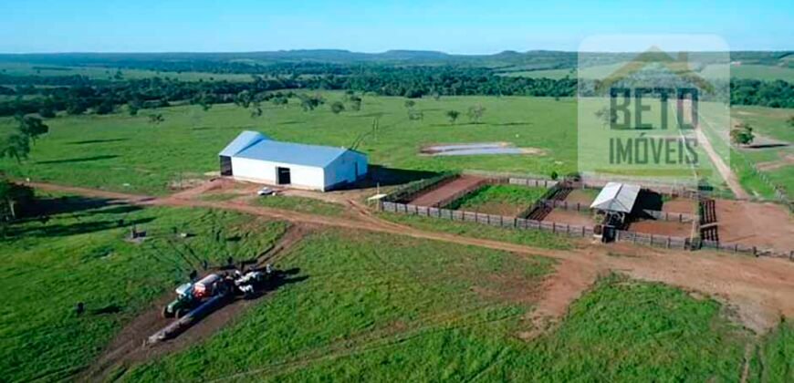 Oportunidade Imperdível! Fazenda à venda Localização Estratégica e Infraestrutura Completa | Paranatinga/ MT Oportunidade Imperdível! Fazenda à venda Localização Estratégica e Infraestrutura Completa | Paranatinga/ MT