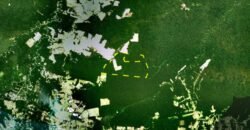 Fazenda à venda com 27.775 hectares no estado do Amazonas | Lábrea/ AM Fazenda à venda com 27.775 hectares no estado do Amazonas | Lábrea/ AM