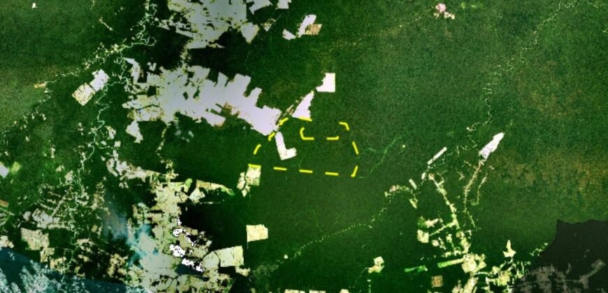 Fazenda à venda com 27.775 hectares no estado do Amazonas | Lábrea/ AM Fazenda à venda com 27.775 hectares no estado do Amazonas | Lábrea/ AM