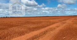 Excelente Fazenda à venda 3.665 ha com 100% pastagens cultivadas toda plana | João Pinheiro/ MG
