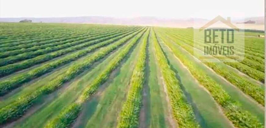 Fazenda de Café, Produção de leite e outras lavouras c/1.939 hectares Excelente estrutura | Patrocínio/ MG