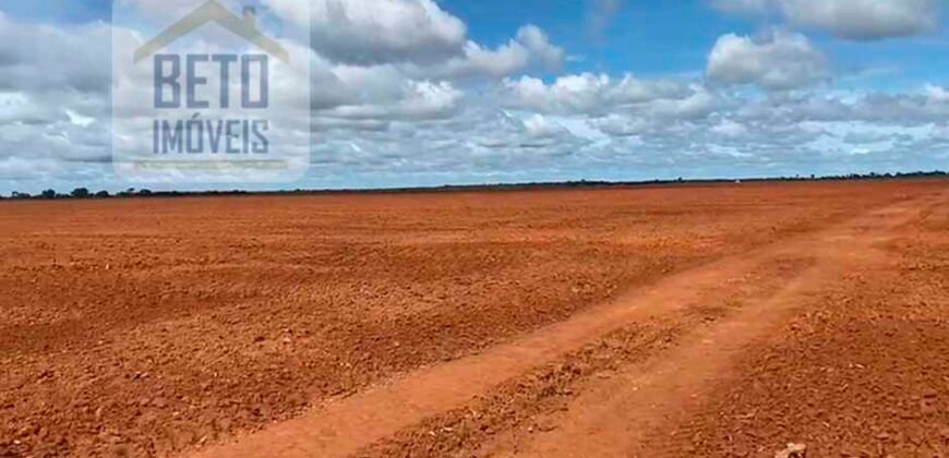 Excelente Fazenda à venda 3.665 ha com 100% pastagens cultivadas toda plana | João Pinheiro/ MG