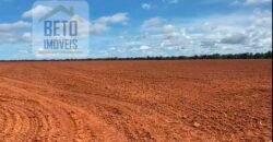 Excelente Fazenda à venda 3.665 ha com 100% pastagens cultivadas toda plana | João Pinheiro/ MG