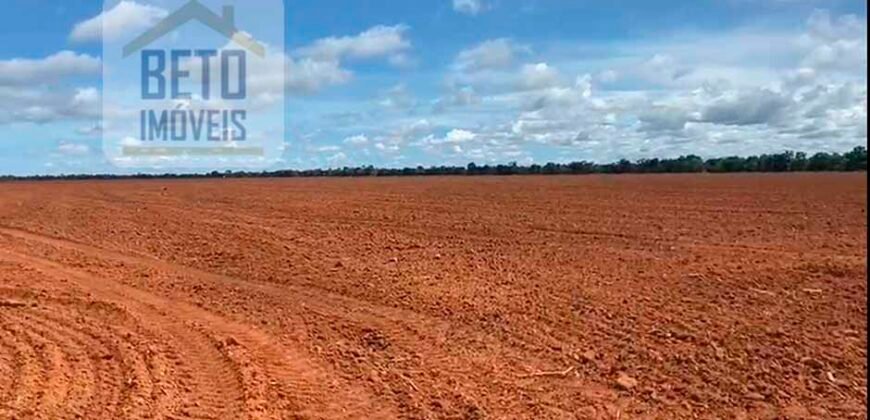 Excelente Fazenda à venda 3.665 ha com 100% pastagens cultivadas toda plana | João Pinheiro/ MG