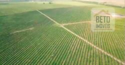 Fazenda de Café, Produção de leite e outras lavouras c/1.939 hectares Excelente estrutura | Patrocínio/ MG