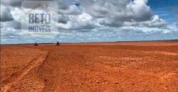 Excelente Fazenda à venda 3.665 ha com 100% pastagens cultivadas toda plana | João Pinheiro/ MG