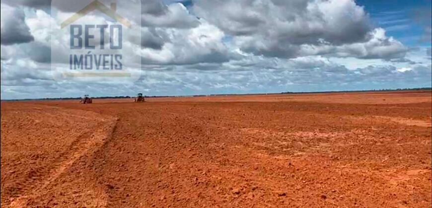 Excelente Fazenda à venda 3.665 ha com 100% pastagens cultivadas toda plana | João Pinheiro/ MG