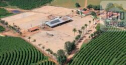 Fazenda de Café, Produção de leite e outras lavouras c/1.939 hectares Excelente estrutura | Patrocínio/ MG