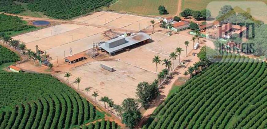Fazenda de Café, Produção de leite e outras lavouras c/1.939 hectares Excelente estrutura | Patrocínio/ MG