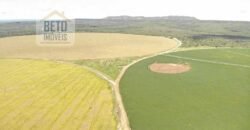 Oportunidade Única! Fazenda para Agricultura e Pecuária 2.132 Ha Localização estratégica | Norte de Minas Gerais Oportunidade Única! Fazenda para Agricultura e Pecuária 2.132 Ha Localização estratégica | Norte de Minas Gerais